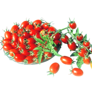 Rambha Tomato From Known You Seed (India) (1)-KYI